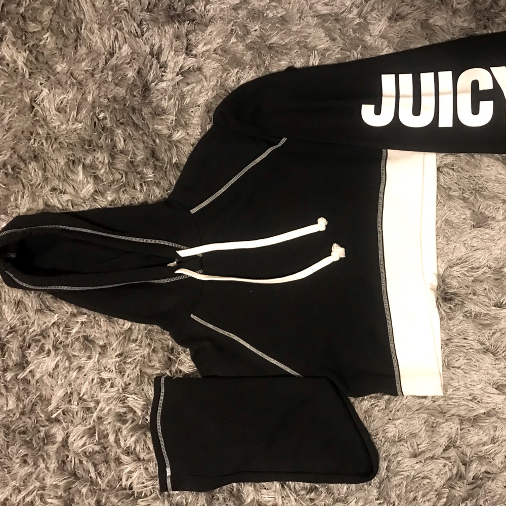 Brand new juicy cropped hoodie.